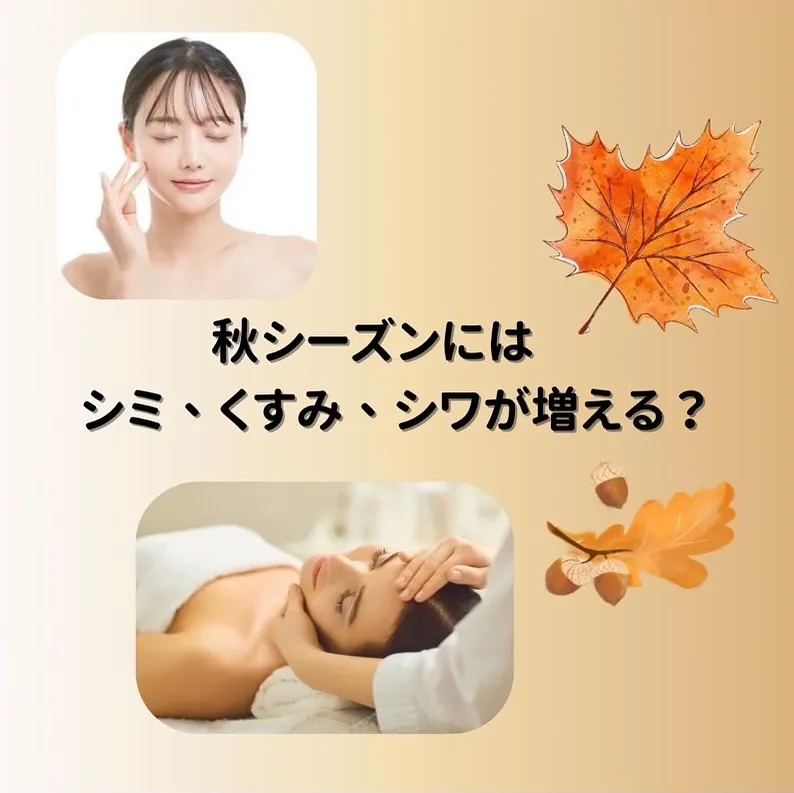 beauty salon Micoです！