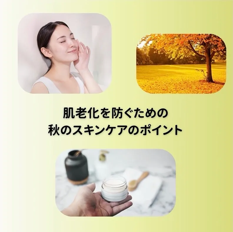 『肌老化を防ぐための秋のスキンケアのポイント☝️』