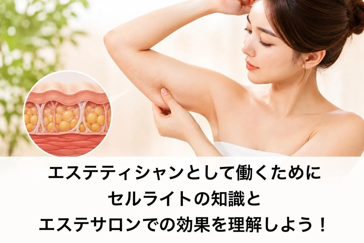エステティシャンとして働くためにセルライトの知識とエステサロンでの効果を理解しよう！